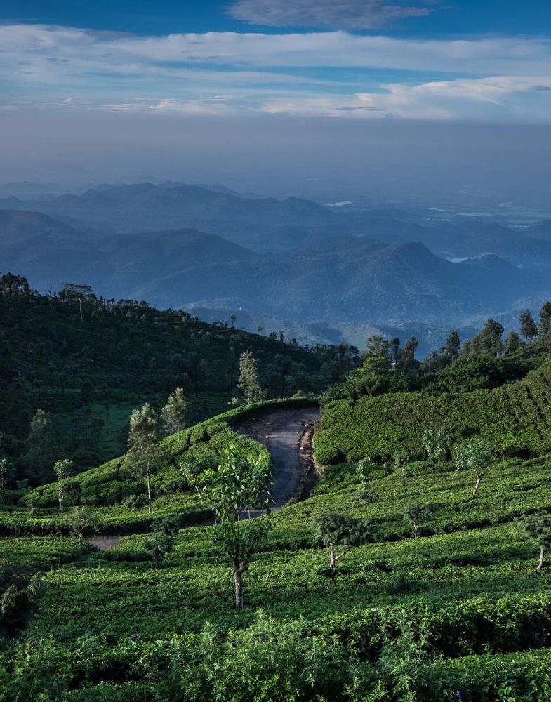 Kalimpong